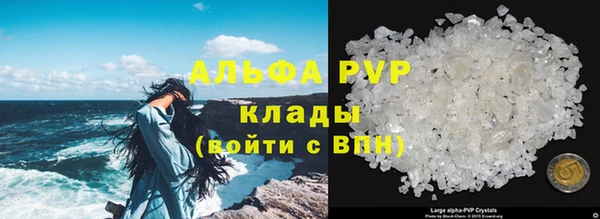 ешки Гусев