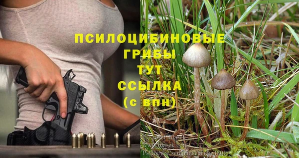 прущая мука Гусиноозёрск