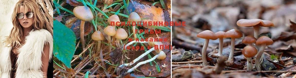 скорость Беломорск